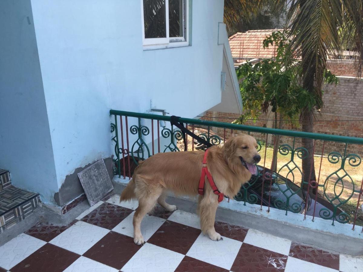 Velanganni Vinodth Homestay Esterno foto